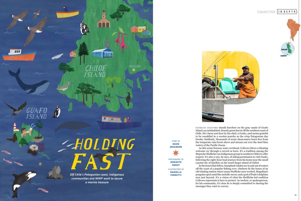 WWF / Patagonian Coast Map and Letters for Founder&#8217;s Magazine - Daniella Ferretti - Anna Goodson Illustration Agency