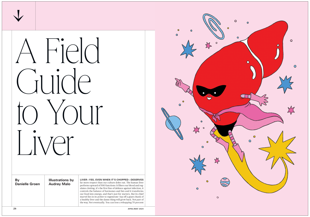 Best Health / A Field Guide to Your Liver - Audrey Malo - Anna Goodson Illustration Agency