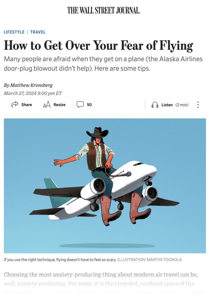 The Wall Street Journal / Overcoming the fear of flying - Martin Tognola - Anna Goodson Illustration Agency